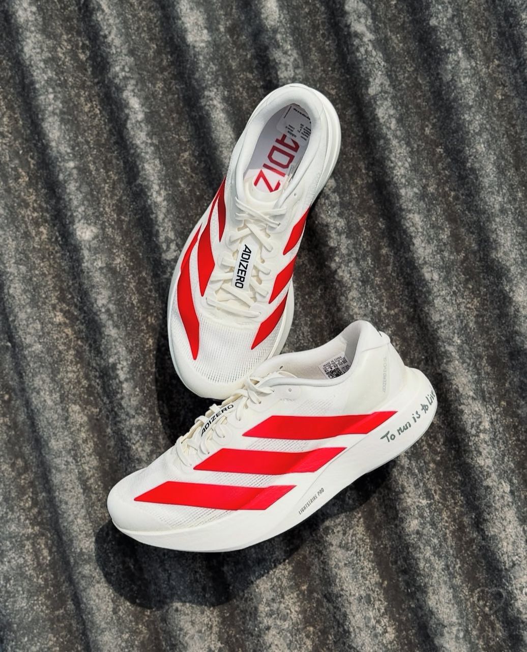 Adidas Adizero Evo SL